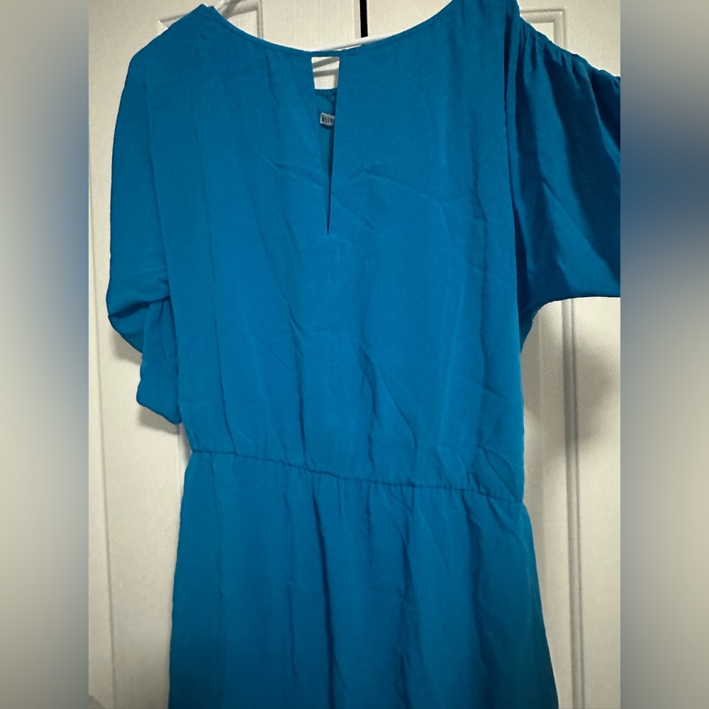 Alice and Olivia dress